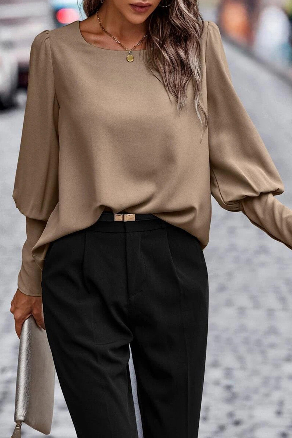 Brown Plain Leg-of-mutton Sleeve Round Neck Blouse